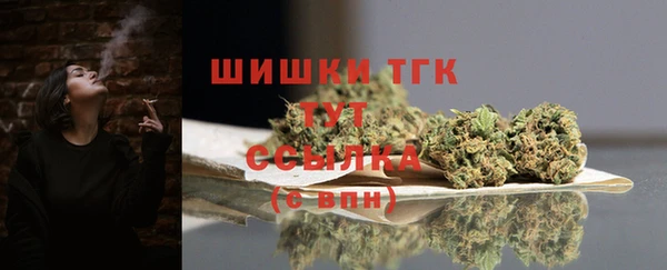 амф Богородицк