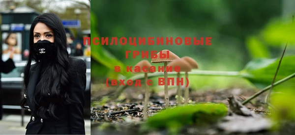 амф Богородицк