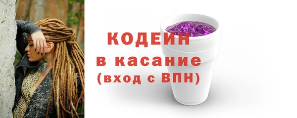 прущий лед Богданович