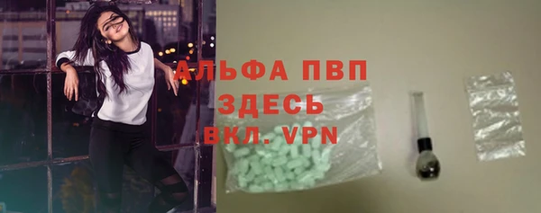 прущий лед Богданович