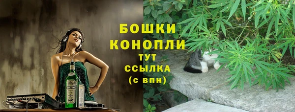 прущий лед Богданович