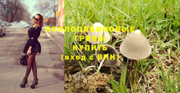 амф Богородицк