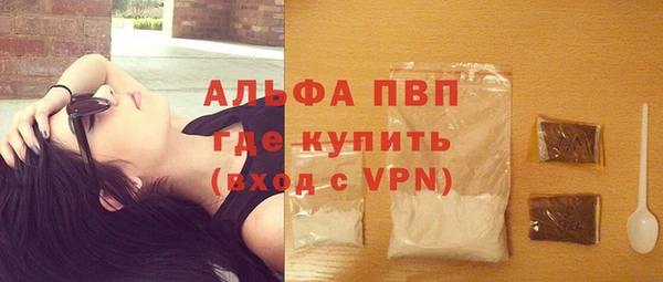 прущий лед Богданович