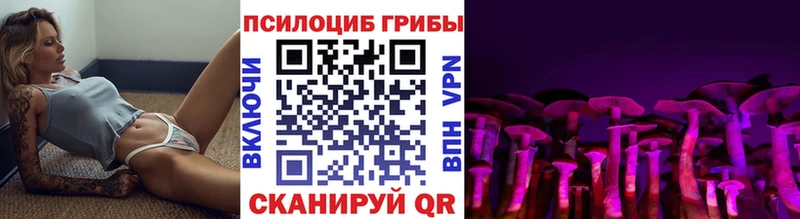 как найти закладки  Шахунья  Псилоцибиновые грибы мухоморы 