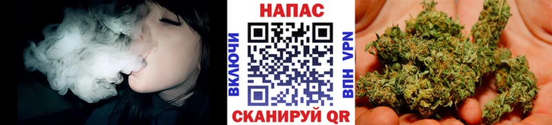 мориарти телеграм Шахунья Бошки Шишки Ganja